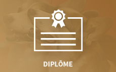 DIPLOMES