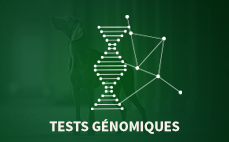 Tests genomiques